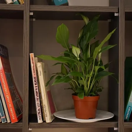 Tokaapartment Tirana