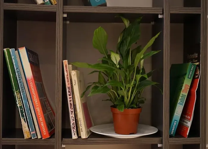 Tokaapartment Tirana